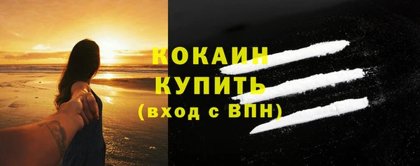 PSILOCYBIN Богданович