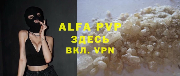 PSILOCYBIN Богданович