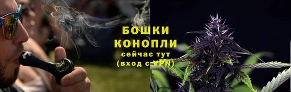 PSILOCYBIN Богданович