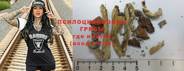 PSILOCYBIN Богданович