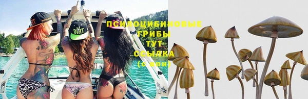 прущая мука Богородск