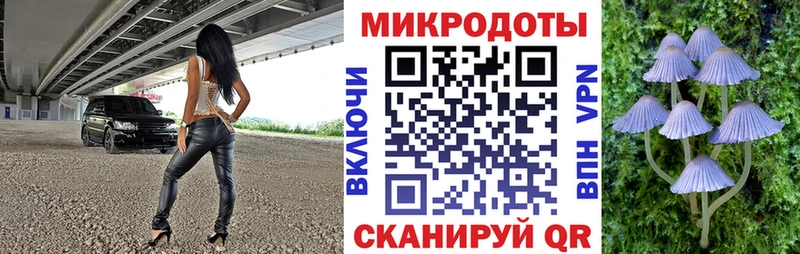 ссылка на мегу зеркало Белоусово Псилоцибиновые грибы мицелий